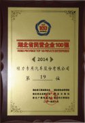 湖北省民营企业100强-19位